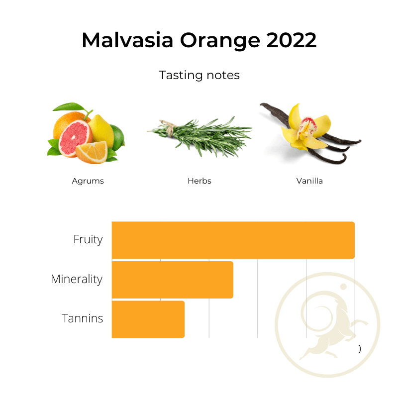 Malvasia Orange 2022