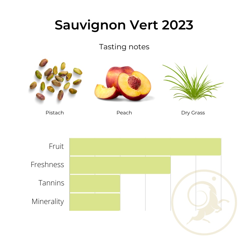 Sauvignon Vert 2023