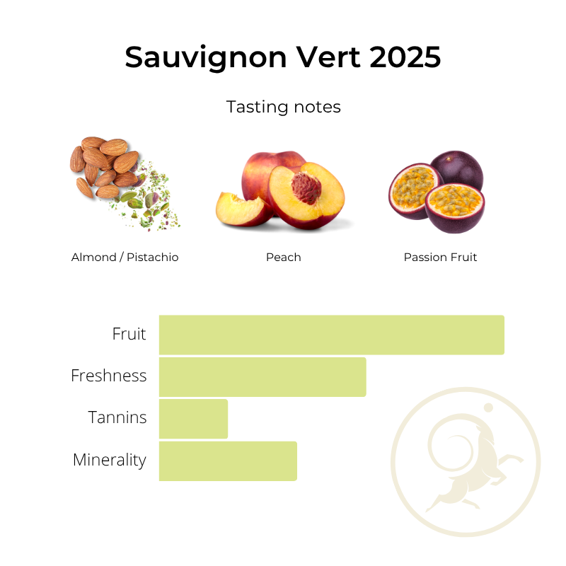 Sauvignon Vert 2025