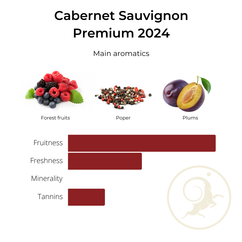 Caberent Sauvignon 2024