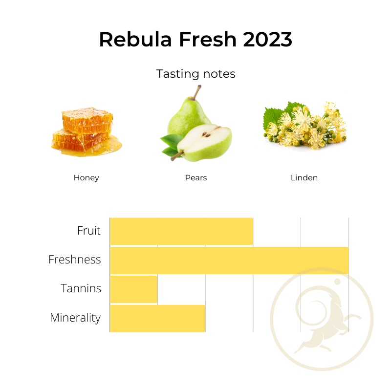 Rebula Fresh 2023